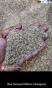 Millet Seed