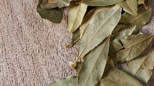 Bay Leaf