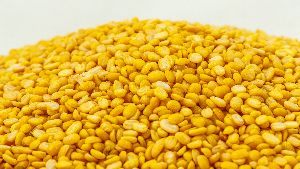 Yellow Gram