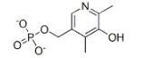 Vitamin B6