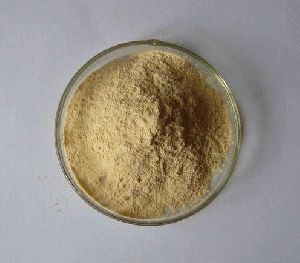 Protein Hydrolysate 80% Powder