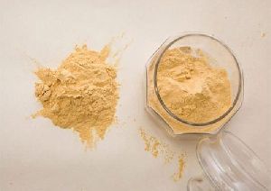 Protein Hydrolysate 90% Powder