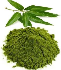 Mango Leaf Powder