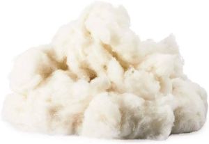 Raw Cotton