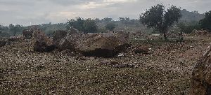 Big Decorative Boulder