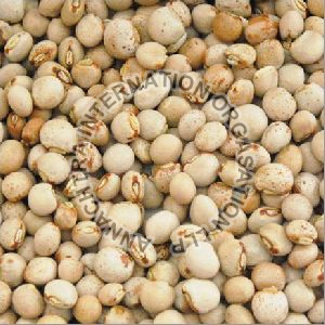 Pigeon Peas