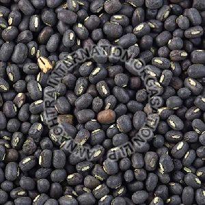 Whole Urad Dal