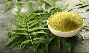 Neem Powder