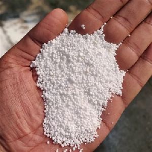 PP Sabudana