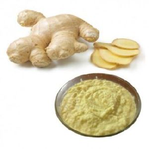 Fresh Ginger Paste