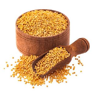 Mustard Seeds