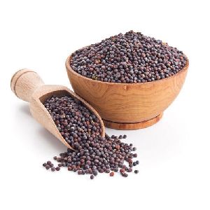 Organic Mustard Seeds