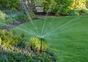 Landscape Irrigation System