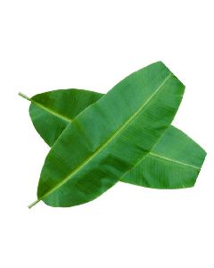 Banana Leaves