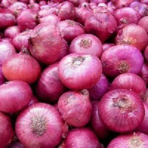 Fresh Pink Onion