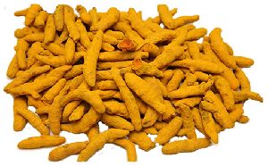 Turmeric Finger