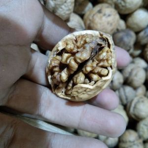 Walnut better quality with reasonable price