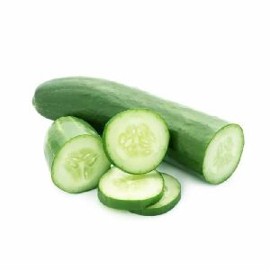 Fresh Cucumber