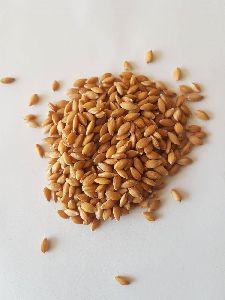 Hulled Einkorn Wheat