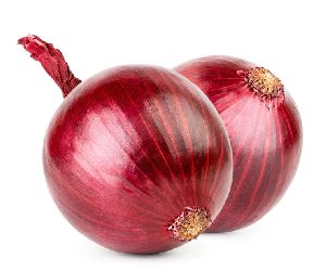 Export Quality Fresh Onion