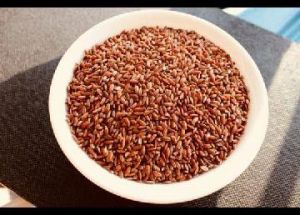 Organic Navara Rice