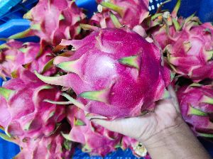 Farm fresh Dragon Fruit