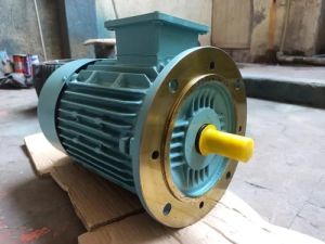 1 HP Flange Mounted Motor