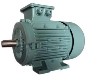 5 HP Flange Mounted Motor