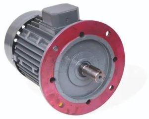 Industrial Flange Mounted Motor