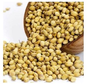 Coriander Seeds