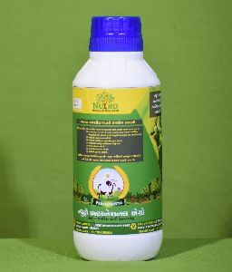 Bio Organic Fertilizer