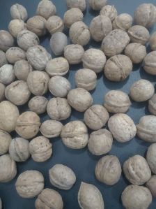 Kashmiri Walnuts