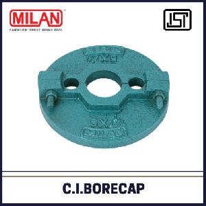 Cast Iron BoreCap