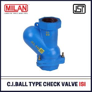 Cast Iron Reflux Valves