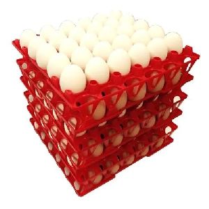 Red Plastic Egg Tray