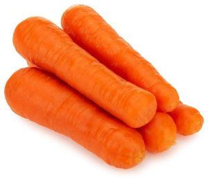 Fresh Carrot