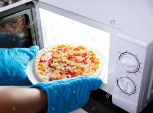 microwave oven repairing service