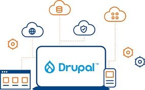 Drupal Web Development Service