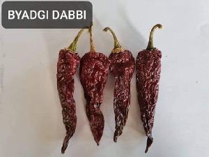 Byadagi chilli