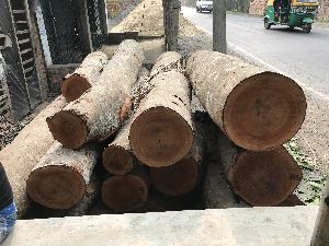 Lambu wood logs