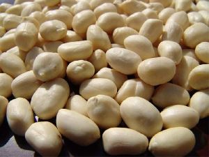 Blanched Peanuts