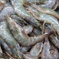 Fresh Vannamei Prawns