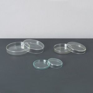 Glass Petri Dish