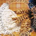 Superfine Flour Manufacturer