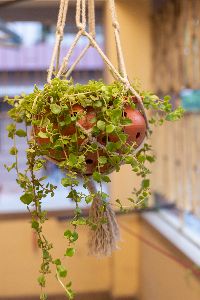 Natural River-Clay Balcony Garden Planter