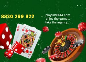 Casino Game Software Rental Services