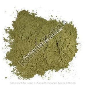 Roshan Herbals Gurmar Buti Powder