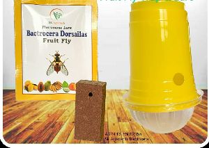 Bactrocera Dorsailes Fruit fly pheromone trap & lure