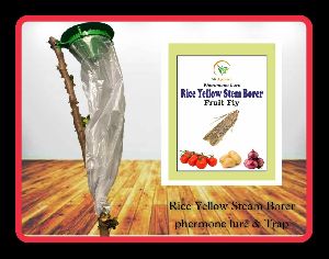 rice yellow steam & fruit borer pheromone trap & lure