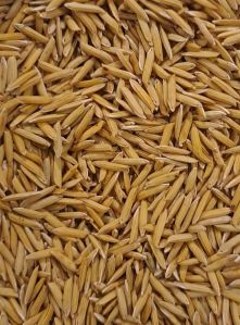 Basmati 1718 Paddy Seeds